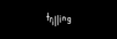 Trilling - Home